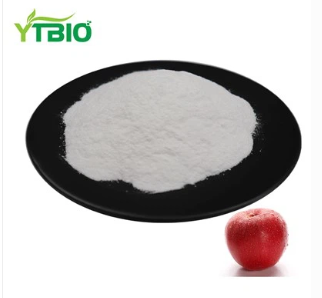 Apple Fruit Powder